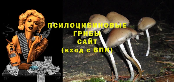 метамфетамин Алексеевка